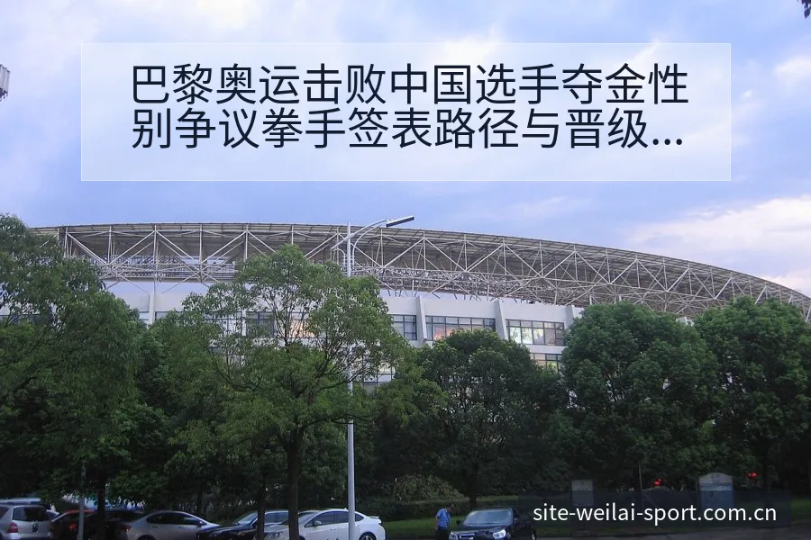 巴黎奥运击败中国选手夺金性别争议拳手签表路径与晋级前景 - 纬来体育