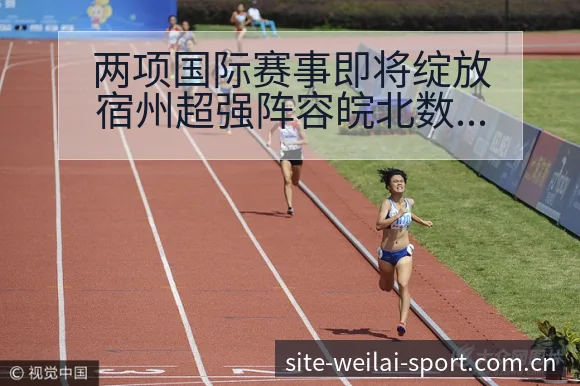 两项国际赛事即将绽放宿州超强阵容皖北数据对比与趋势观察历 - 纬来体育