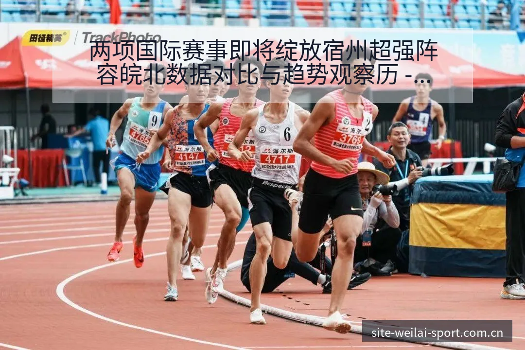 两项国际赛事即将绽放宿州超强阵容皖北数据对比与趋势观察历 - 纬来体育